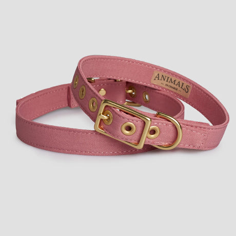 Animals in Charge Recycled Canvas Dog Collar Dusty Pink