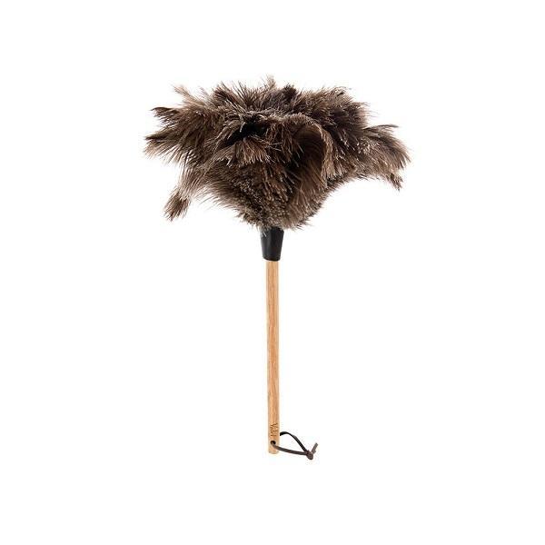 Feather Duster