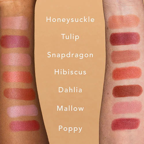 Ethique Lipstick