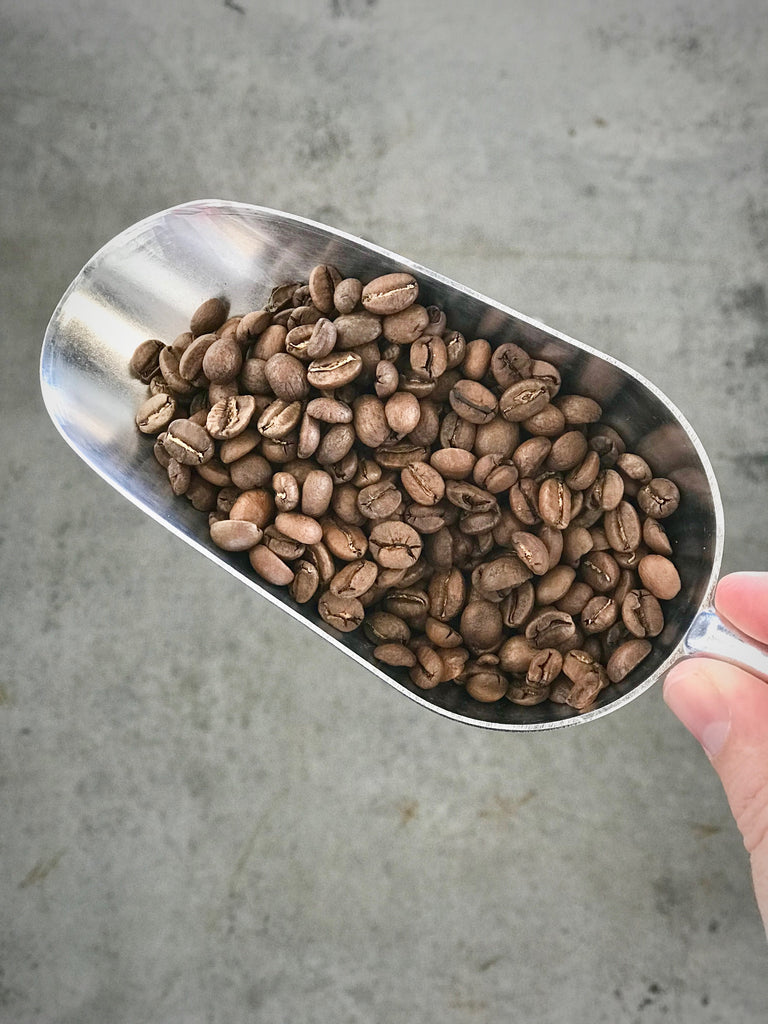 Eighthirty Beans, The Eighthirty Standard - Refill Nation