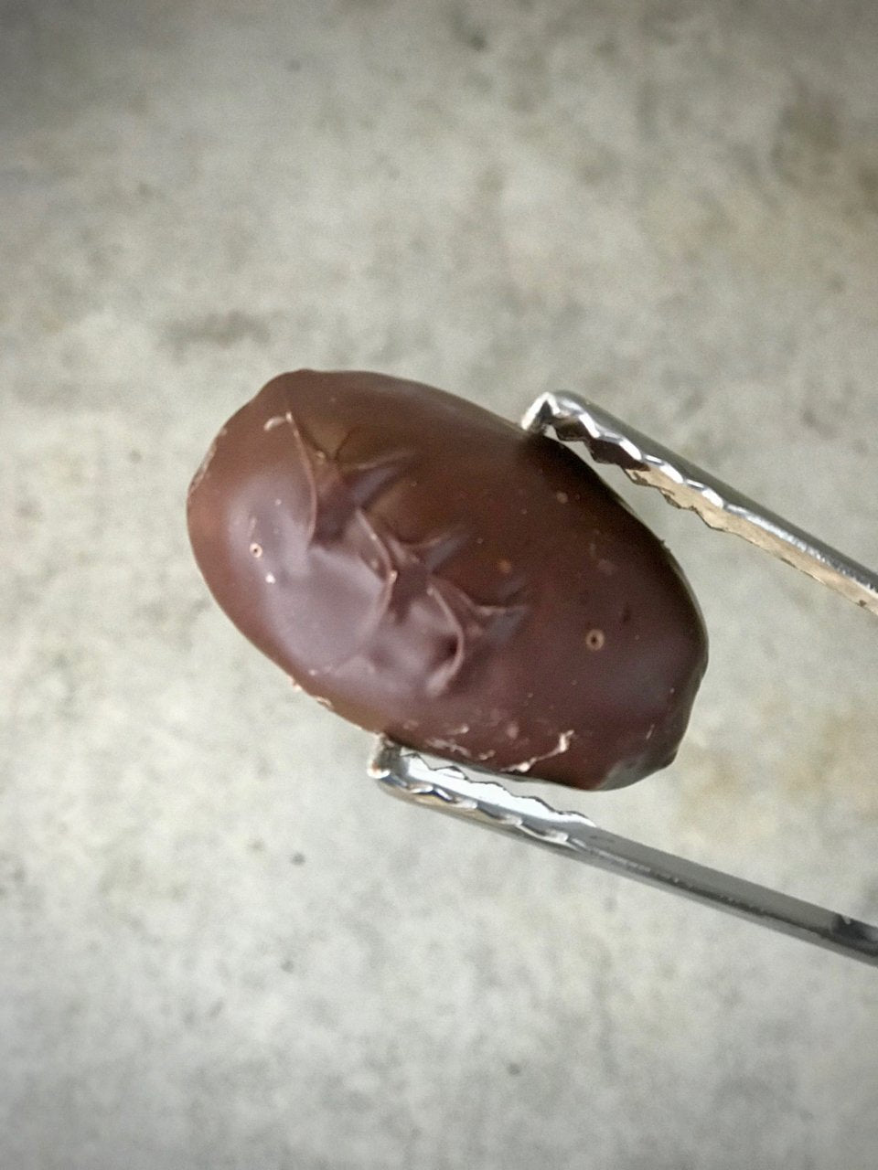 Decadent Date - Refill Nation