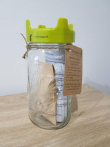 Sprouting Jar Kit - Refill Nation