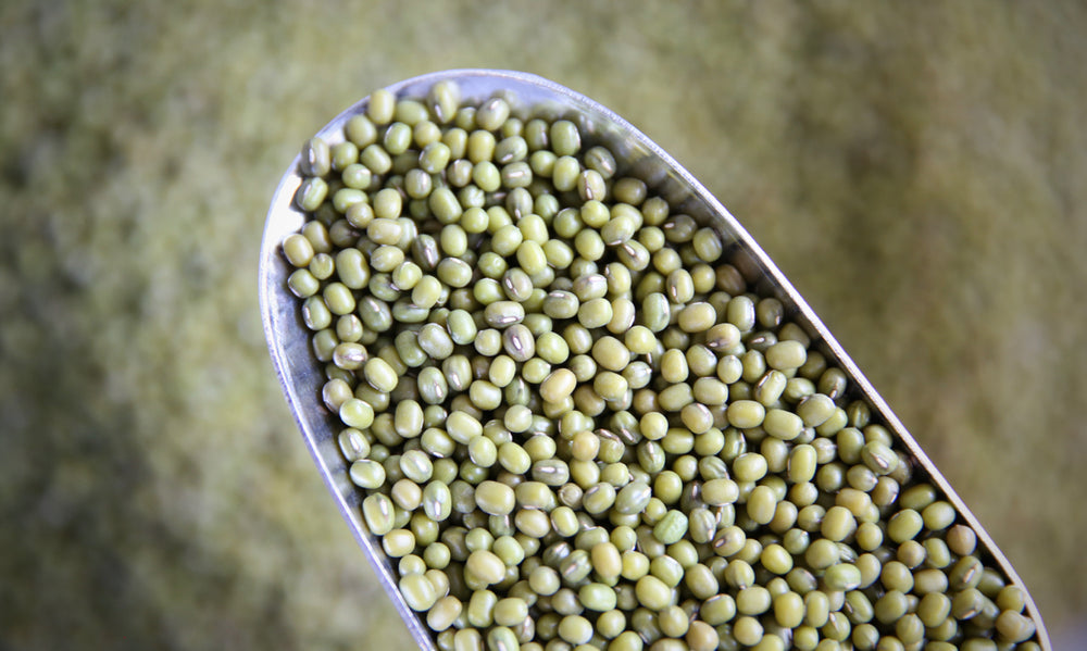 Mung Bean - Refill Nation