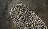 Organic Lentils, Green - Refill Nation
