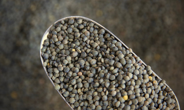 Organic Lentils, Green - Refill Nation