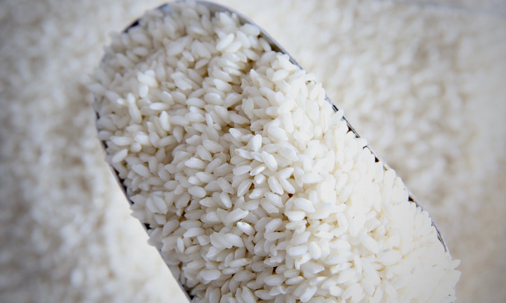 Organic Arborio Rice - Refill Nation