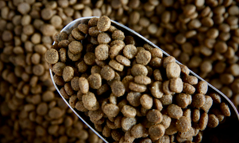 Cat Food, Chicken - Refill Nation