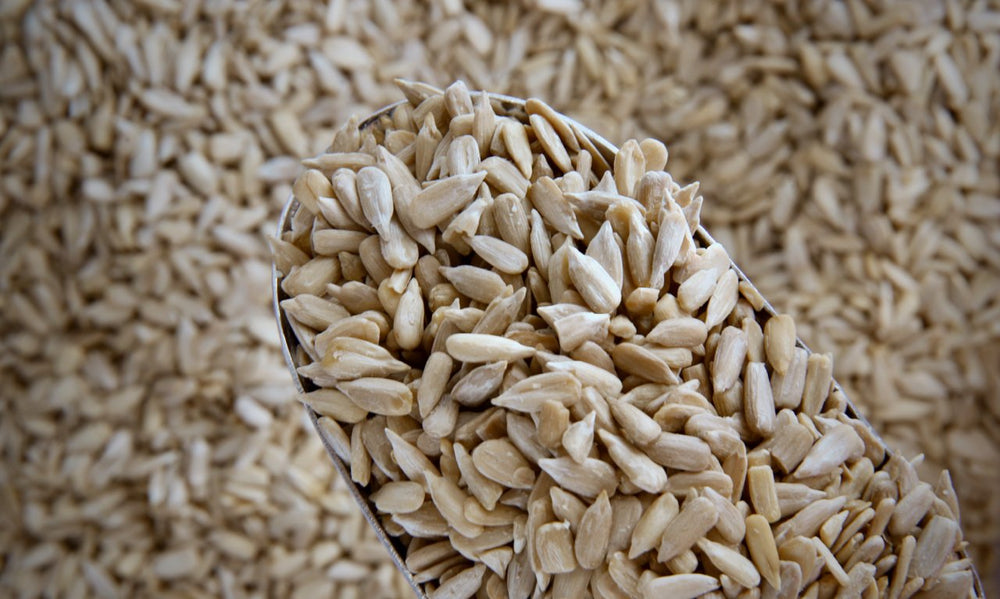 Sunflower Seeds - Refill Nation