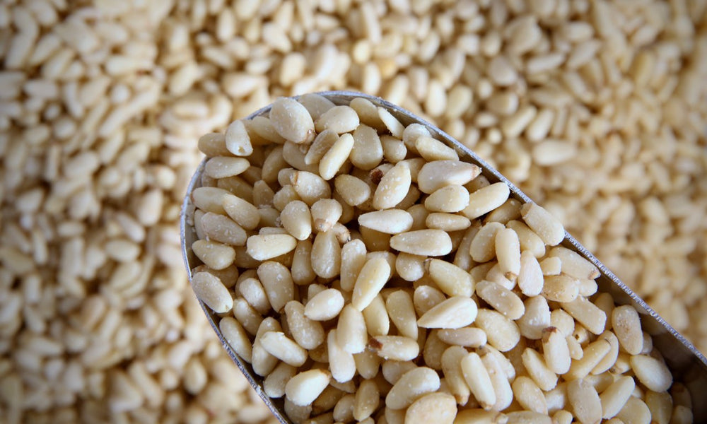 Pine Nuts - Refill Nation