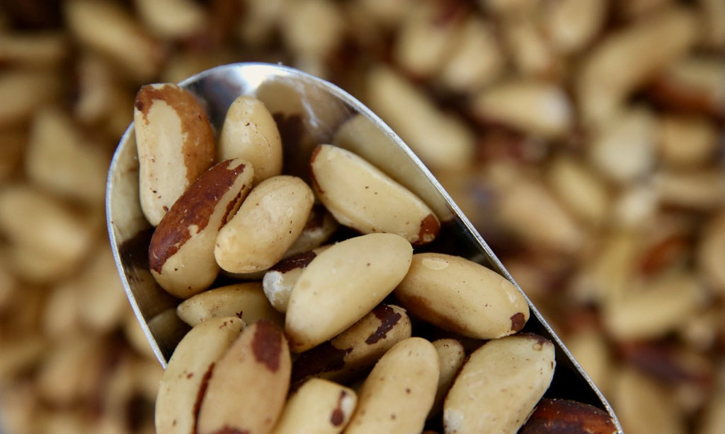 Organic Brazil Nuts - Refill Nation
