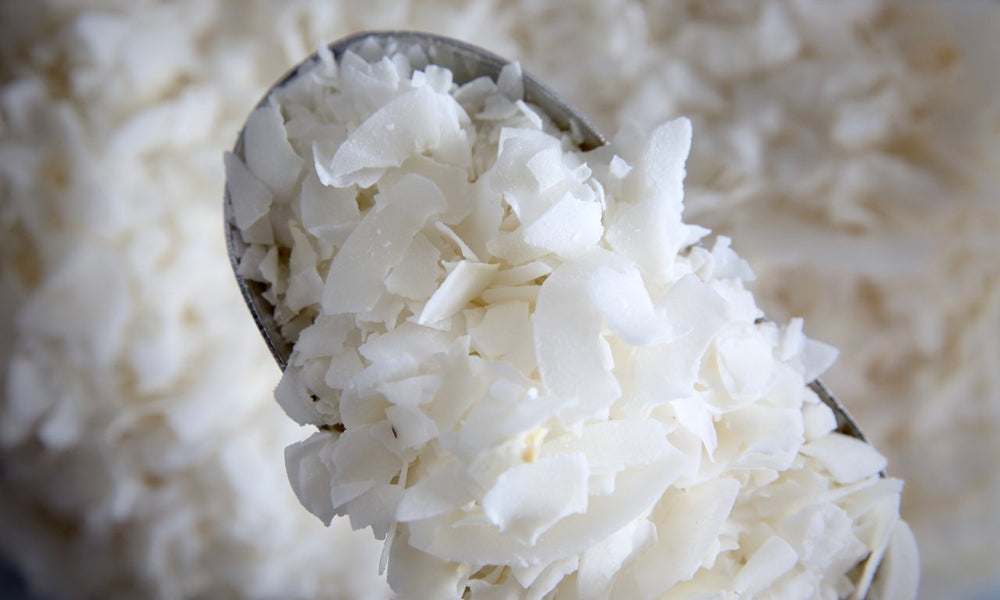 Organic Coconut Chips - Refill Nation