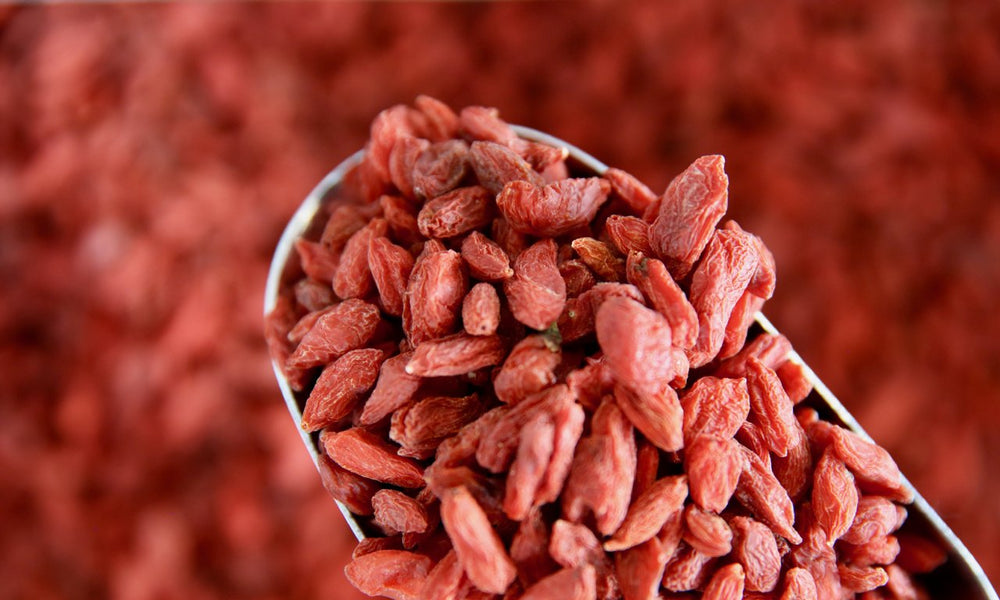 Organic Goji Berries - Refill Nation