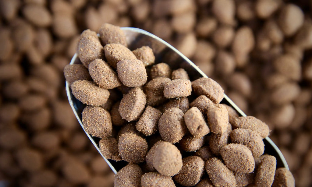 Dog Food, Complete - Refill Nation