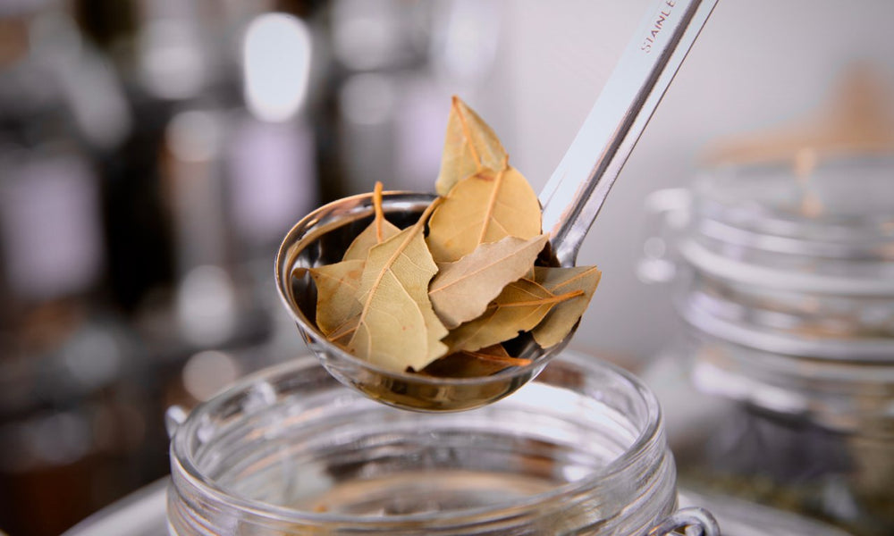 Bay Leaves - Refill Nation