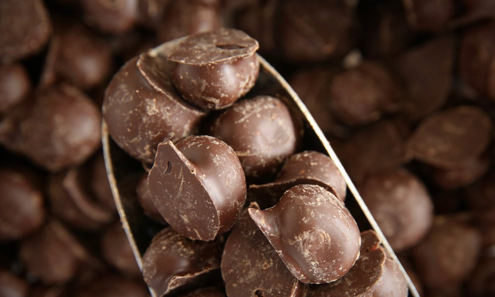 Dark Chocolate Ginger - Refill Nation