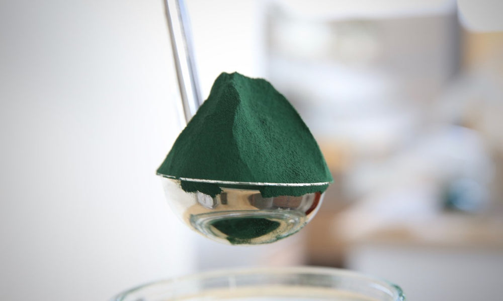 Spirulina - Refill Nation