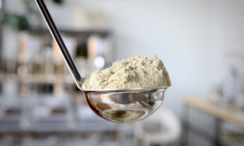 Cardamom Ground - Refill Nation