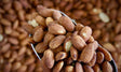 Almonds, Roasted & Salted - Refill Nation
