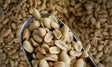 Peanuts, Roasted & Salted - Refill Nation