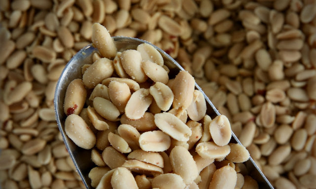 Peanuts, Roasted & Salted - Refill Nation