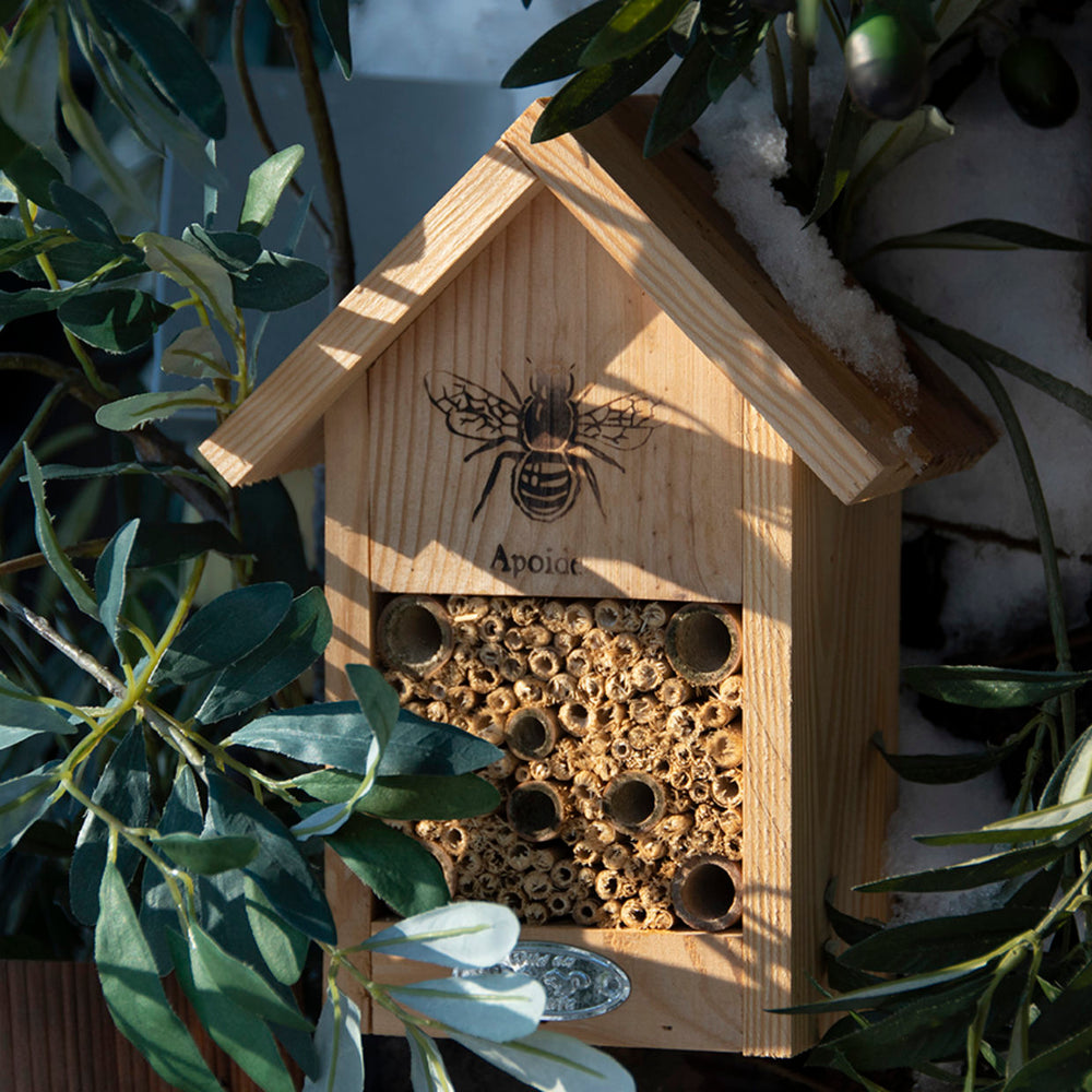 Bee House