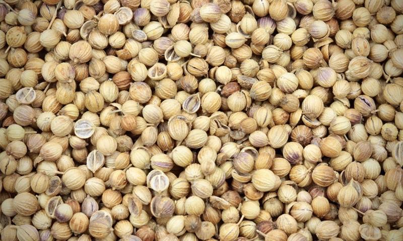 Coriander Seeds - Refill Nation