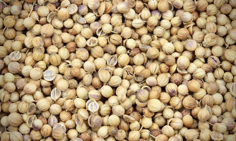 Coriander Seeds - Refill Nation