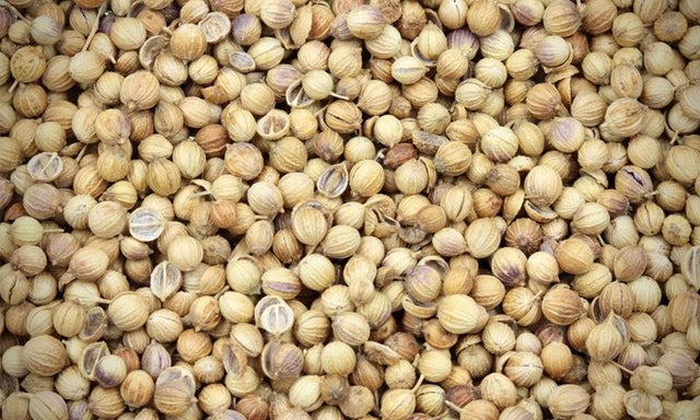 Coriander Seeds - Refill Nation